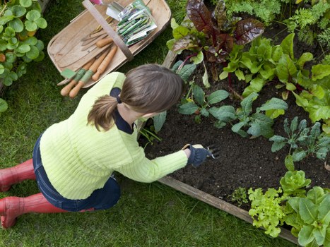State-of-the-art equipment used by Lawn Mowing Victoria