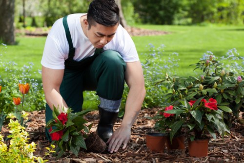 A gardener dressed in casual outdoor clothing and gloves is kneeling on a mulched garden bed, tending to several potted poinsettia plants with red and green foliage. The garden features a well-maintained lush green lawn, bordered by shrubs and flower borders. In the background, there are mature trees and a bright, clear sky, indicating a sunny day. The vibrant colours of the plants contrast with the natural tones of soil and mulch, with a clean and organized outdoor space suggestive of professional gardening maintenance. The scene depicts an outdoor gardening activity within a landscaped yard, possibly in Victoria, highlighting professional gardening and lawn care services offered by Lawn Mowing Victoria.